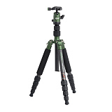 Картинка Штатив Falcon Eyes Green Line 1443C BHS-8 - лучшая цена, доставка по России
