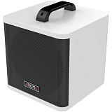 Картинка Комбоусилитель для акустической гитары Aroma AG-40A WH - лучшая цена, доставка по России