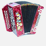Картинка Гармонь Тульская-301М Тульская гармонь G-6-RD-B - лучшая цена, доставка по России