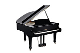 Картинка Цифровой рояль Medeli GP805 - лучшая цена, доставка по России