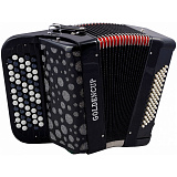 Картинка Баян ученический Golden Cup JB5060 - лучшая цена, доставка по России