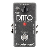 Картинка Гитарная педаль Tc Electronic DITTO STEREO LOOPER - лучшая цена, доставка по России